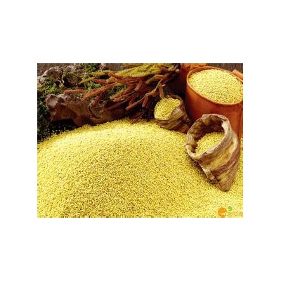 產(chǎn)品展示