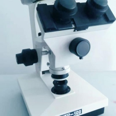 XJP-300